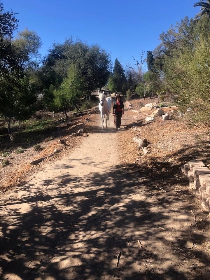 Silvia walking ShangriLa down a sunlit trail