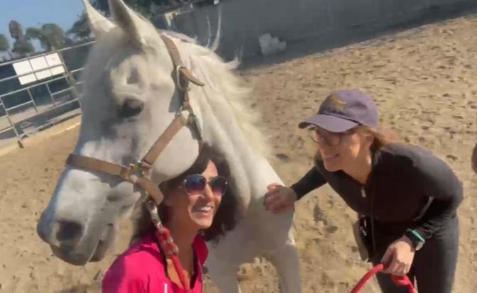 Child experiencing equine therapy connection